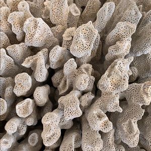 Meet your Posher, Ann